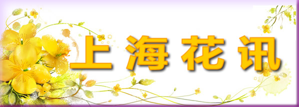 上海花讯