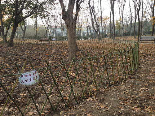 20131220竹篱活动 027.jpg