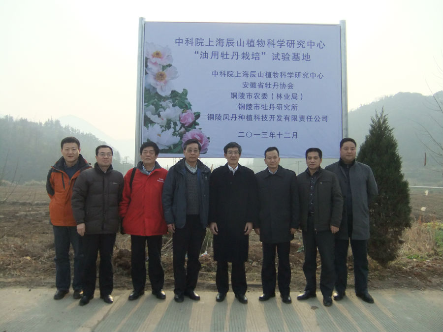 DSCF6720.jpg
