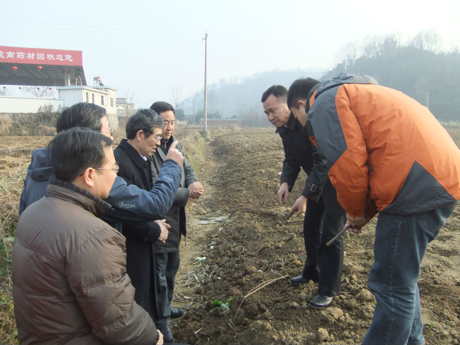 DSCF6737.jpg
