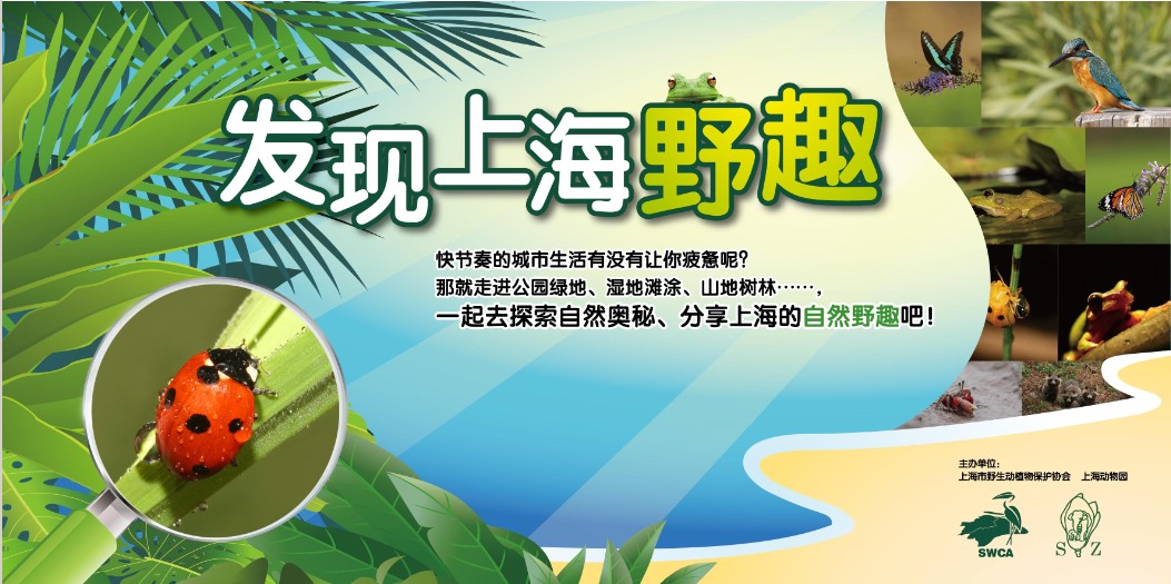 发现上海野趣.jpg