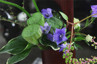 古猗园插花艺术科普讲座开始报名,请抓紧时间噢 1.jpg