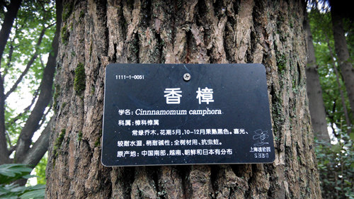 上海植物园园区添增植物科普铭牌,普及科普知识提升教育水平