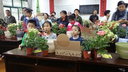 植物拼盆.jpg