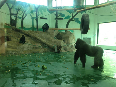 应季蔬果上“餐桌” 春暖花开好心情 6.jpg