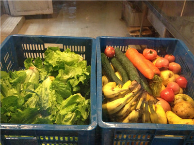 应季蔬果上“餐桌” 春暖花开好心情 5.jpg