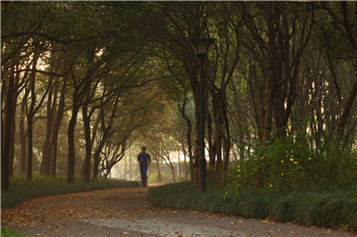 环城绿带,晨色怡人 1.jpg