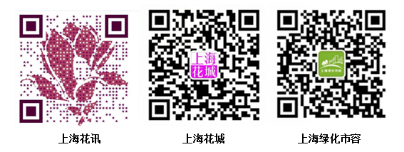 二维码.png