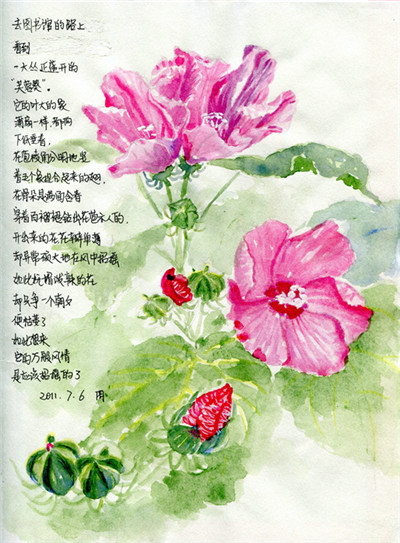 自然大咖们云集上海植物园,“自然课堂分享会”招募自然爱好者 3.jpg