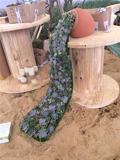上海植物园积极参加2015上海国际多肉展并获铜奖 1.jpg