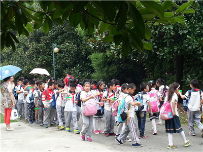 园内飘桂香,团队接待忙 2.jpg