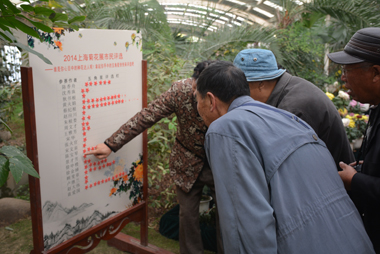 “2015上海菊花展”市民菊花佳品开始征集——共青森林公园19日起接受市民送花 1.jpg
