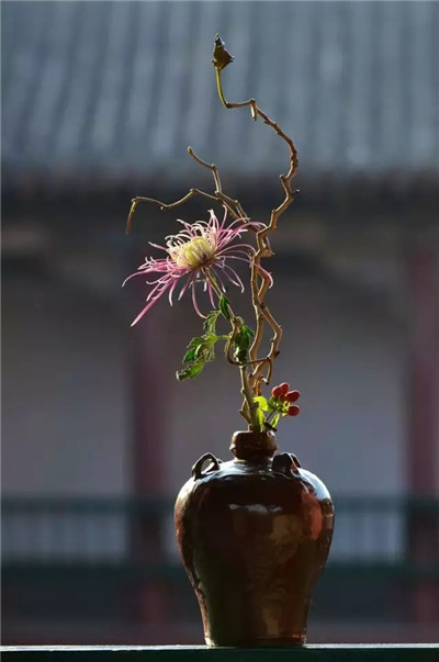 醉里插花花莫笑 秋光花影总相宜——园艺大讲堂之插花教室即将唯美登场 7.jpg