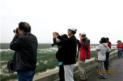 一年好景君须记 最是橙黄橘绿时——2015“醉美秋天”上海市民摄影体验活动正式启航! 2.jpg