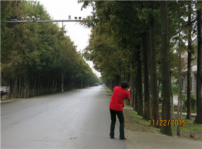 一年好景君须记 最是橙黄橘绿时——2015“醉美秋天”上海市民摄影体验活动正式启航! 1.jpg