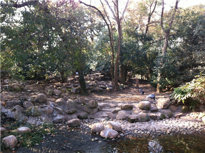 上海动物园对鹤轩场地进行平整1.jpg