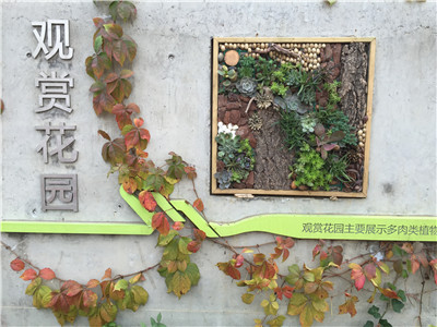 360度绿花园——园博会中的上海园 6.jpg