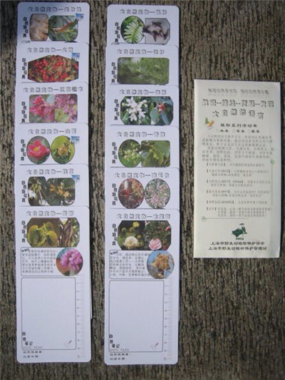 市野保特色教育开创自然体验教学蓝本.jpg
