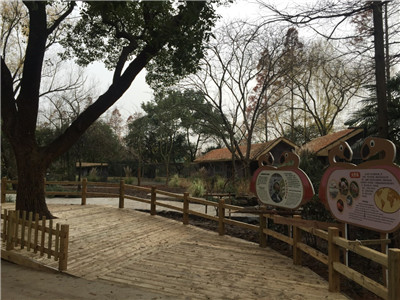 上海动物园火烈鸟住新家 2.jpg