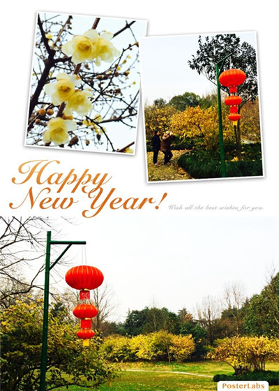 景点换新颜,欢喜迎新年——上海植物园迎新景点完成布置工作 2.jpg