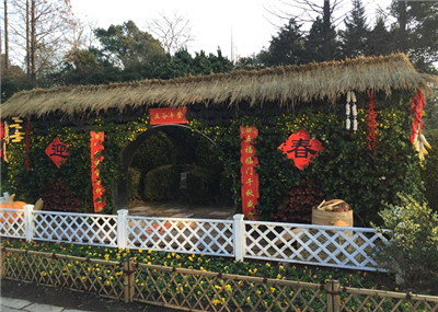 景点换新颜,欢喜迎新年——上海植物园迎新景点完成布置工作 5.jpg