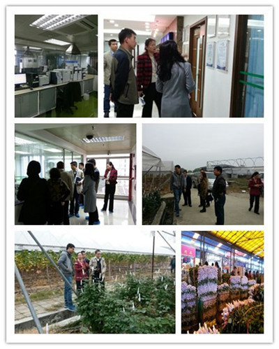 沪穗两家农业部花卉质检中心开展工作交流2.jpg