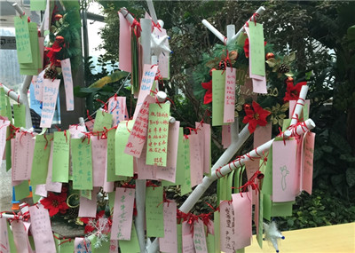 “双旦相约植物园 美好祝福满人间”节庆主题活动圆满结束 1.jpg
