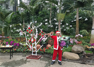 “双旦相约植物园 美好祝福满人间”节庆主题活动圆满结束 5.jpg