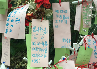 “双旦相约植物园 美好祝福满人间”节庆主题活动圆满结束 2.jpg
