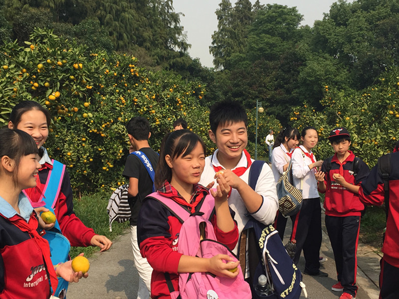 一年好景君须知,正是橙黄橘绿时。10月中旬,如果你漫步在滨江森林公园的橘园,就能感受到宋代文学家苏轼赠好友刘景文诗中所表现的意境。滨江柑橘采摘节也将在10月18日拉开序幕。熟悉的游客都知道,这已是公园连续第七年举办采摘节了。上海是柑橘的主产地,但上海的柑橘大多都在崇明、长兴两岛。虽说长江隧桥已经开通,但要去一趟两岛,还是有着诸多不变。而地处浦东高桥的滨江森林公园,距市中心人民广场只有二十多公里,半个小时车程。因此,自打公园举办采摘活动以来,不少市民把来公园采摘作为首选。 根据今年气候情况,橘子预计产量约