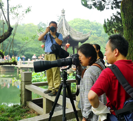 烈日酷暑不及爱荷之心--第五届上海荷花睡莲展第一周游客量突破4.6万.jpg
