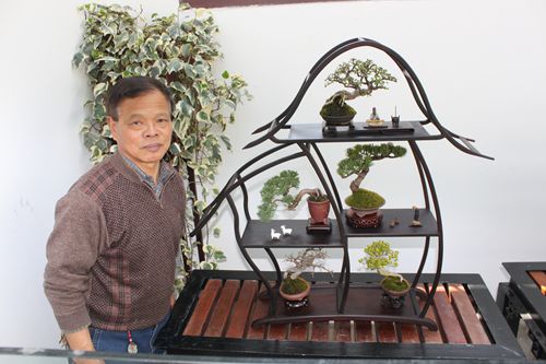 作为全国盆景艺术大师,微型小品盆景的国宝级元老,王元康大师20多年