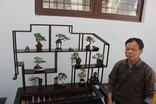 作为全国盆景艺术大师,微型小品盆景的国宝级元老,王元康大师20多年