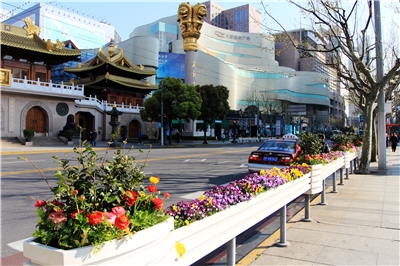 2014上海静安花街新面貌