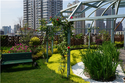 空中花园(绿化)的植物选择与配植