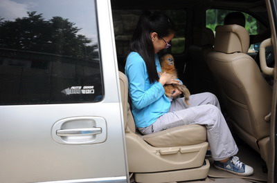 川金丝猴"大少"回家记