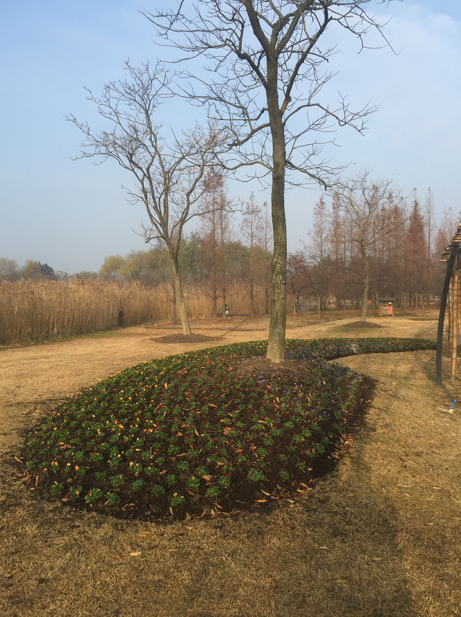 上海辰山植物园